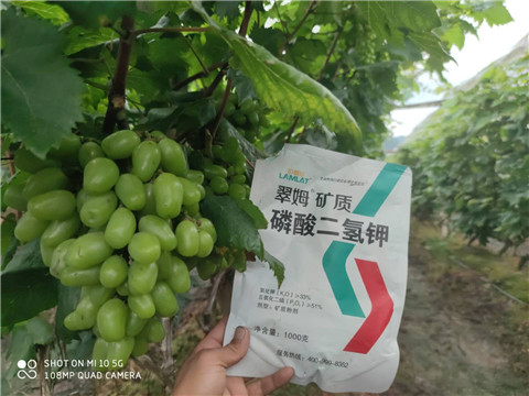 磷酸二氫鉀，拉姆拉