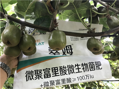 微生物菌劑，翠姆，拉姆拉