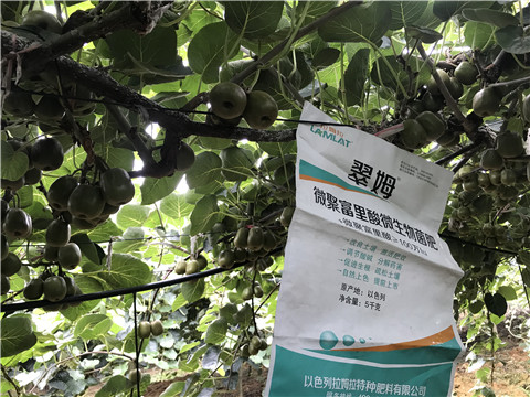 微生物菌劑，翠姆，拉姆拉