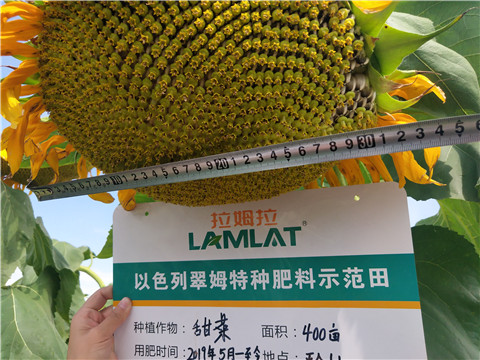 水溶肥，微生物菌劑，拉姆拉