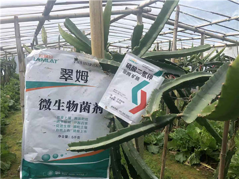 磷酸二氫鉀，翠姆，拉姆拉