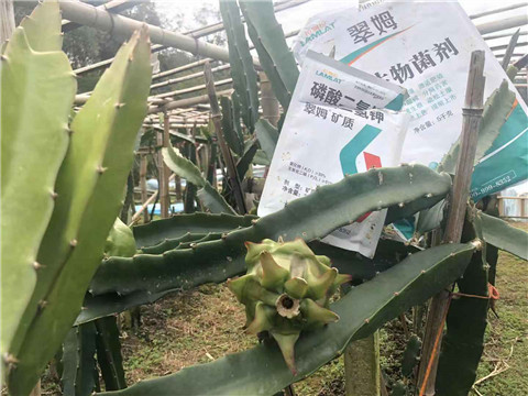 磷酸二氫鉀，翠姆，拉姆拉
