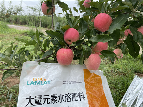 水溶肥，翠姆，拉姆拉