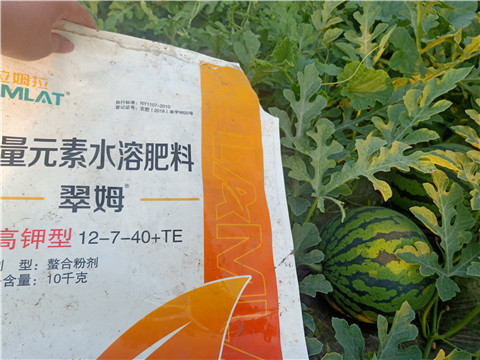 水溶肥，拉姆拉，翠姆