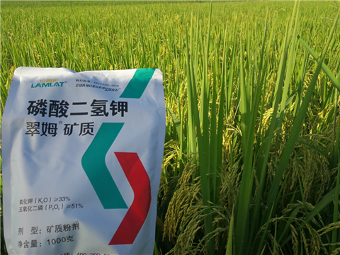 葉面肥，水稻灌漿肥，拉姆拉