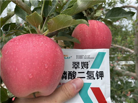 高鉀水溶肥，磷酸二氫鉀，拉姆拉，翠姆