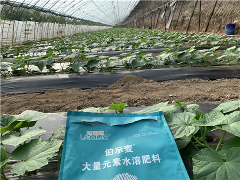 水溶肥，拉姆拉