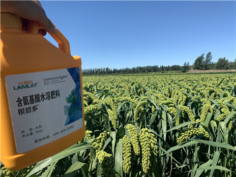 磷酸二氫鉀，拉姆拉，翠姆