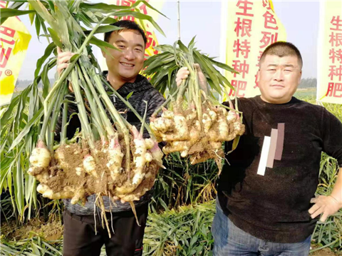 水溶肥，翠姆，拉姆拉