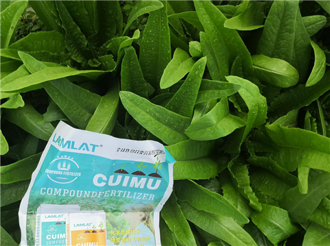 水溶肥，翠姆，拉姆拉