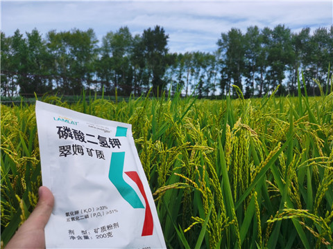 磷酸二氫鉀，拉姆拉，翠姆