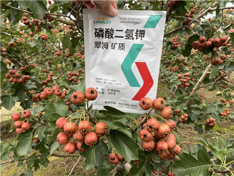 磷酸二氫鉀，拉姆拉，翠姆