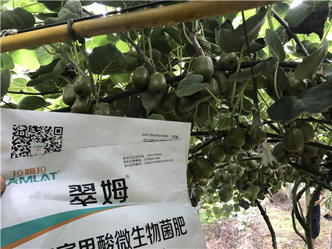微生物菌劑，平衡顆粒復(fù)合肥，翠姆，拉姆拉