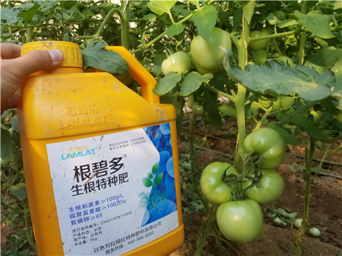 葉面肥，磷酸二氫鉀，微生物菌劑，翠姆，拉姆拉