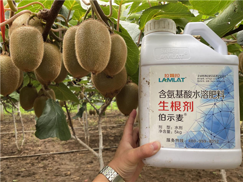 水溶肥，生根劑，微生物菌劑，伯示麥，拉姆拉