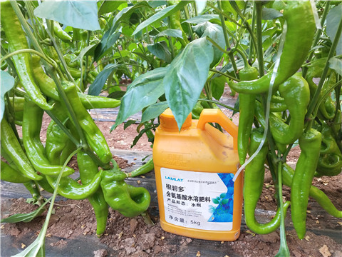 水溶肥，拉姆拉