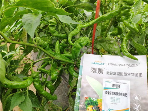 水溶肥，拉姆拉