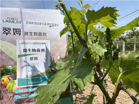 微生物菌劑，拉姆拉，翠姆