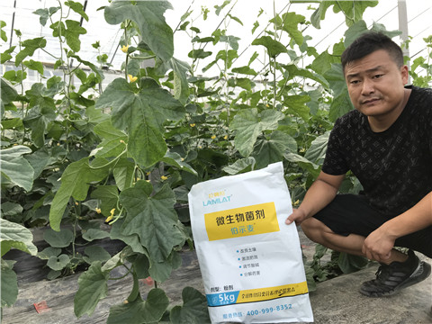 水溶肥，拉姆拉