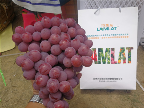 葉面肥，磷酸二氫鉀，鈣肥，翠姆，拉姆拉