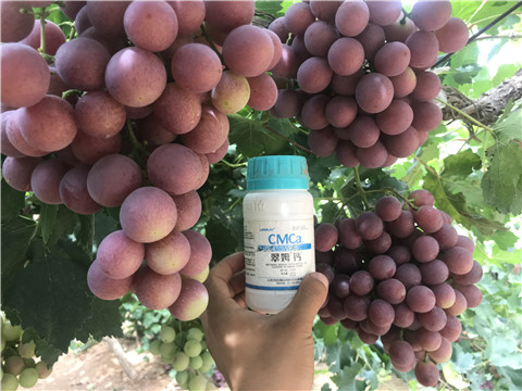 葉面肥，磷酸二氫鉀，鈣肥，翠姆，拉姆拉