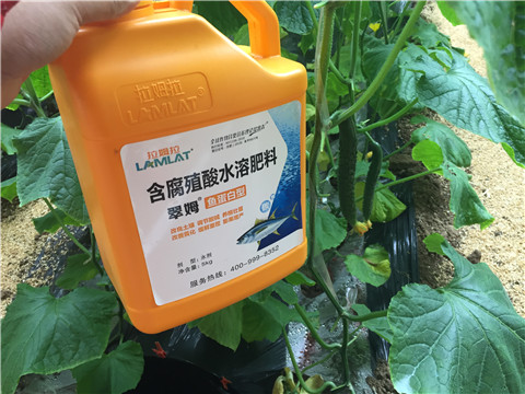 滴灌肥，拉姆拉，翠姆