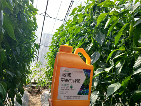 滴灌肥，拉姆拉，翠姆