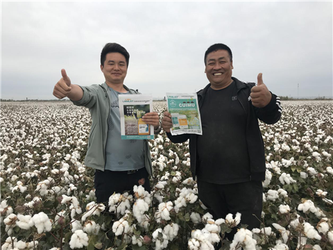 棉花，水溶肥，拉姆拉，翠姆