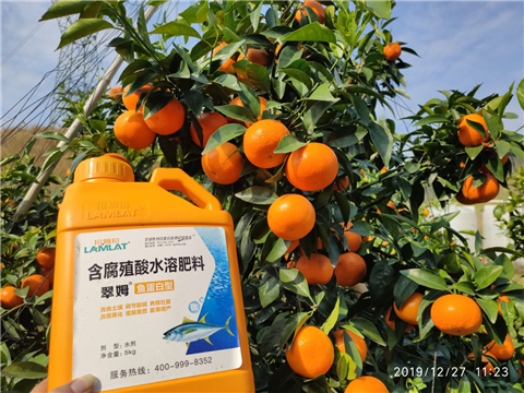 水溶肥，拉姆拉，翠姆