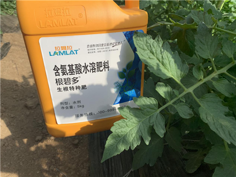水溶肥，拉姆拉，翠姆
