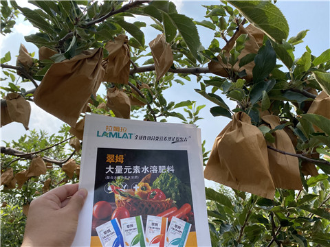 大量元素水溶肥，拉姆拉，翠姆