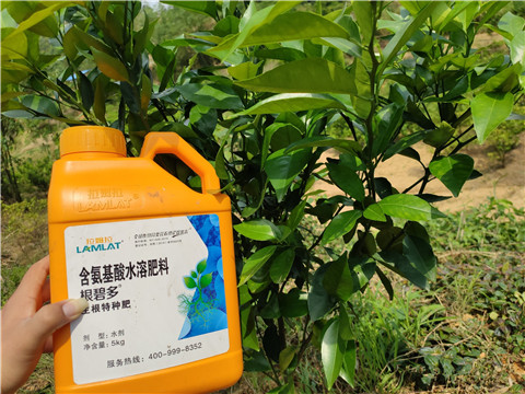 水溶肥，拉姆拉，翠姆