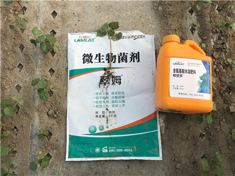 水溶肥，拉姆拉，翠姆