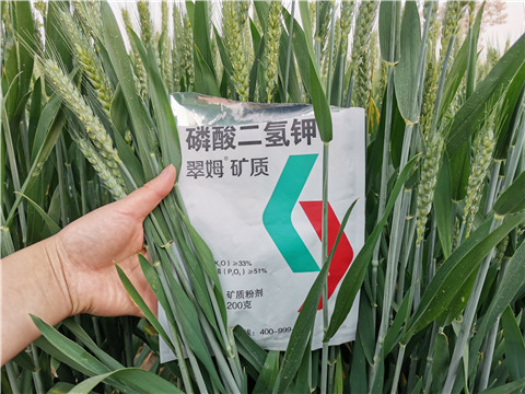 葉面肥，水溶肥，磷酸二氫鉀