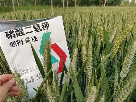 葉面肥，水溶肥，磷酸二氫鉀