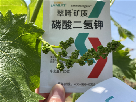 磷酸二氫鉀，拉姆拉，翠姆