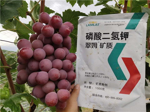 磷酸二氫鉀，拉姆拉，翠姆