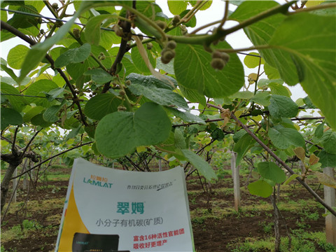 小分子有機(jī)碳，拉姆拉，翠姆