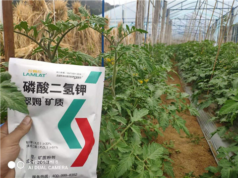 磷酸二氫鉀，拉姆拉，翠姆