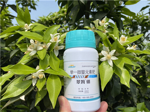 葉面肥，拉姆拉，翠姆