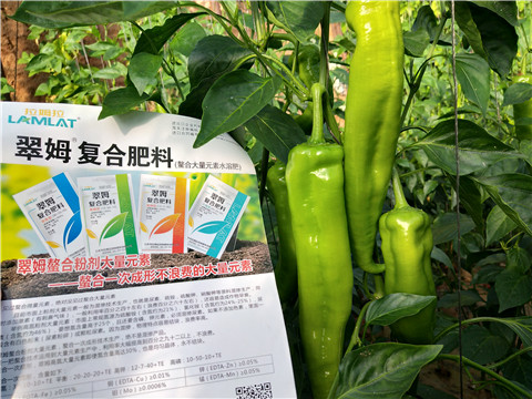 辣椒，拉姆拉，翠姆