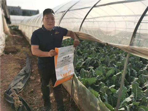 大量元素水溶肥，拉姆拉，翠姆