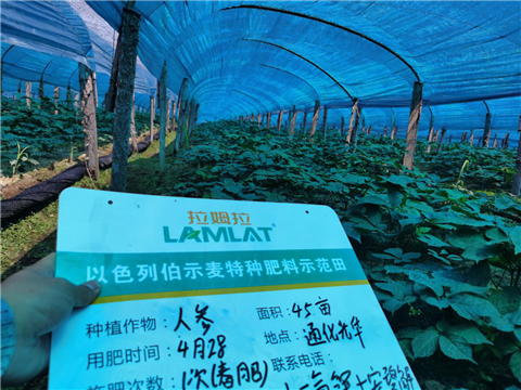 水溶肥，拉姆拉，翠姆