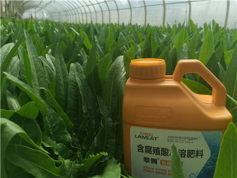水溶肥，翠姆，拉姆拉