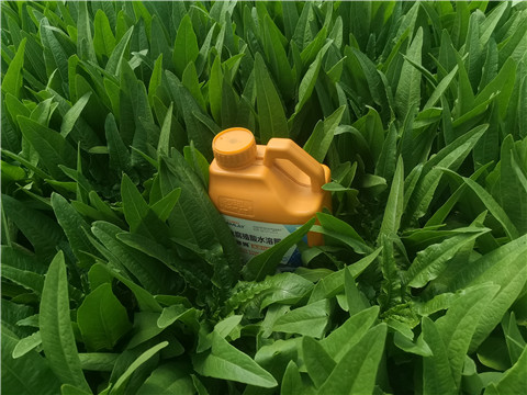 水溶肥，翠姆，拉姆拉