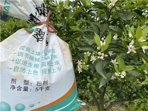 水溶肥，翠姆，拉姆拉