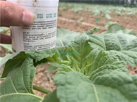 水溶肥，翠姆，拉姆拉