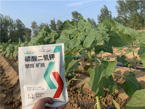 水溶肥，翠姆，拉姆拉