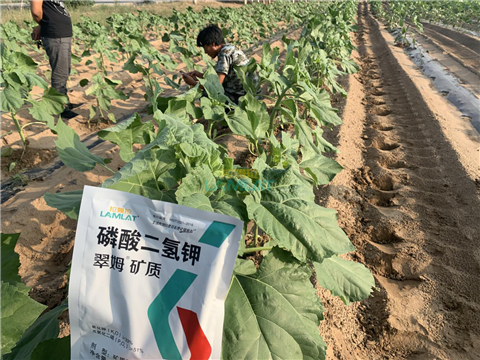 水溶肥，翠姆，拉姆拉