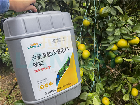 水溶肥，拉姆拉，翠姆